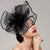 Elegant Net Saucer Hat Fascinator Hats Headpiece Flower Bow & Feather