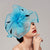 Elegant Net Saucer Hat Fascinator Hats Headpiece Flower Bow & Feather