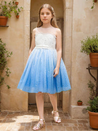 Ball-Gown/Princess Tulle Knee-length Blue Flower Girl Dress