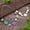 Exaggerated Daily Colorful Irregular Oval Wire Necklace