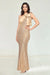 Sheath/Column Sequin & Satin Bow One-Shoulder Sleeveless Floor-Length Evening  Dresses