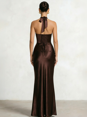 Sheath/Column Prom Dresses V Neck Sleeveless Halter Neck Floor-Length Back Lace Up