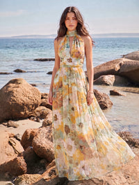 A-Line/Princess Evening Dresses Printed Chiffon Halter Sleeveless Floor-length Pleated Backless With Bowknot Zipper