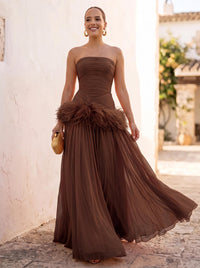 A-Line/Princess Evening Dresses Chiffon Pleated Strapless Sleeveless Floor-Length Ruched Feather Formal Dresses