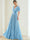A-Line/Princess Chiffon Evening Dresses with Feather V-Neck Short Sleeves Formal Pleated Dress