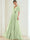 A-Line/Princess Chiffon Evening Dresses with Feather V-Neck Short Sleeves Formal Pleated Dress