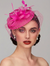 Flowers Feather Fascinators Net Kentucky Derby Hat Classical With Tulle Headband