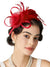 Flowers Feather Headband Net Kentucky Derby Hat Classical With Tulle